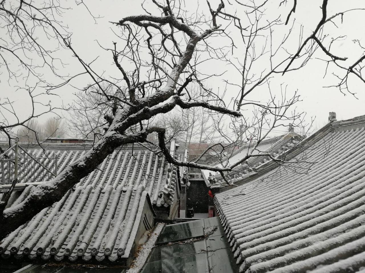 Beijing Fly By Knight Courtyard Hotell Eksteriør bilde